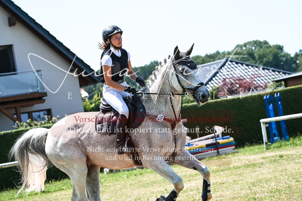 DSC_0306 | Pferde- und Turnierfotografie in Westsachsen. Pferdeportraits, Auftragszeichnungen und intuitive Kunst.