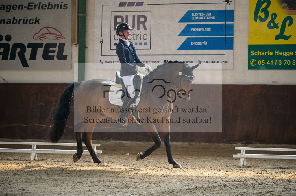 Reitturnier Voxtrup | Entdecke hochwertige Reitturnierfotos von Foto Oger. Professionell, emotional und authentisch – jetzt Lieblingsmomente im Shop bestellen.Deutschlandweite Turnierfotografie. - Realisiert mit Pictrs.com