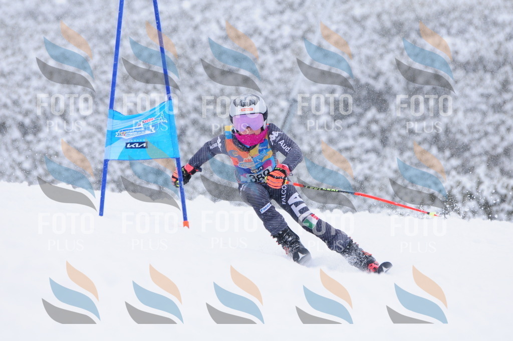 C4041 | holidayphoto