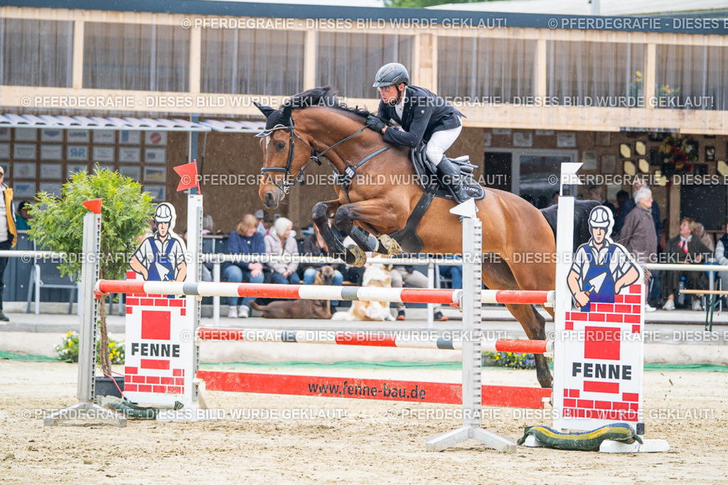 DSC01783 | Pferdegrafie