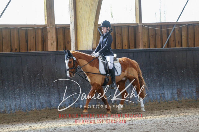 IMG_0877 | Turniersportfotografie; Pferdefotografie; Dressurfotografie