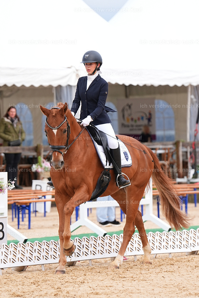 02-095-DRESSUR L_  -Marixx-4824 | working equitationturnier fotograf videograf stoibphotography marixx film working equitation deutschland reitsport turnierfotografie eventfotografie equestrian events