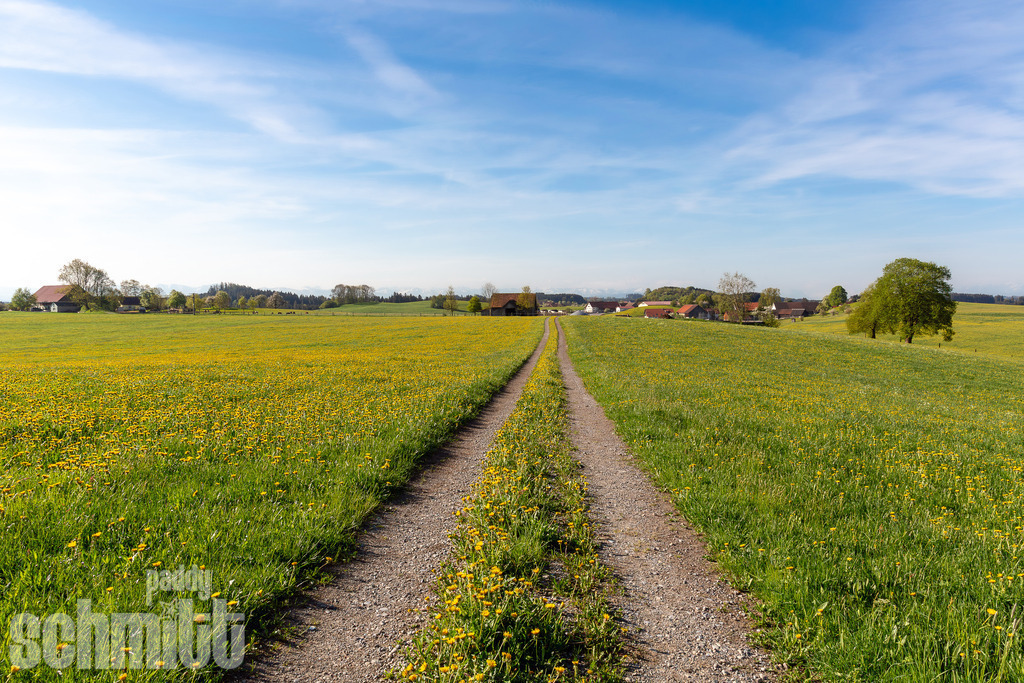 PS-Wege-2026-22 | Entdecke die größte Bildgalerie der Region mit Fotografien aus dem Allgäu, der Bodenseeregion, Oberschwaben, dem Donautal und der Schwäbischen Alb. Landschaften, Luftaufnahmen und Reisefotografie als Wandbild und Fotokunst. - Realisiert mit Pictrs.com