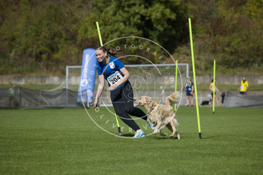 0L8A5814 | Hundefotografie, Tierfotograf, Pfotenfotografie, Fotoshooting Hund, Hunde Portrait, Hundesport, Hundeportraits, Heideshooting, Hunde, Sportfotograf, Hundefotograf, Turnierhundsport, THS,  - Realisiert mit Pictrs.com