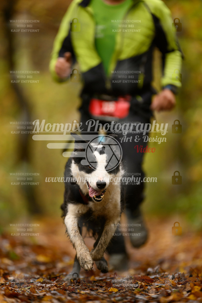 MompixPhotography_CD7S_DI_CCL-91 | mompixphotography