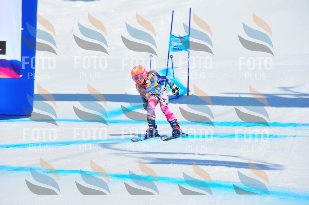 DSC_0847 | holidayphoto