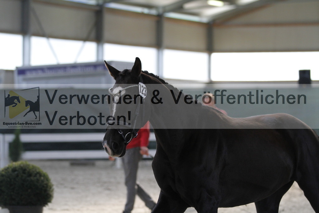 _MG_9633 | equestrian-live-com