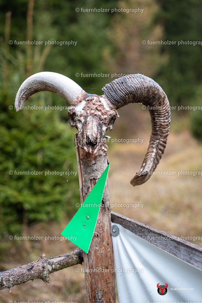 fuernholzer_251026-C1-506 | Fotografische Impressionen von der Red Stag Enduro Extreme by fuernholzer-photography.com. Endurosport in Österreich fotografisch festgehalten von fuernholzer. Auftragsfotografie für Private, Gewerbefotos und Industriefotografie. Eventfotografie, Sportfotografie und Motorsportfotografie. Anbieter von Fotoworkshops, Fototraining, fotografischen Vorträgen und Fotoseminaren.