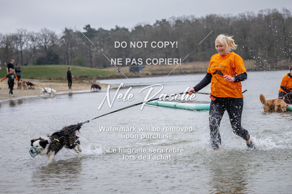 nelerasche_Hulsbeek_Sa1600-1700_217 | nelerasche
