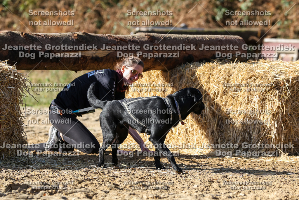 Dog Paparazzi - Strongdog 10-25-2934 | Dog Paparazzi Jeanette Grottendiek Fotografie & Videografie - Realisiert mit Pictrs.com