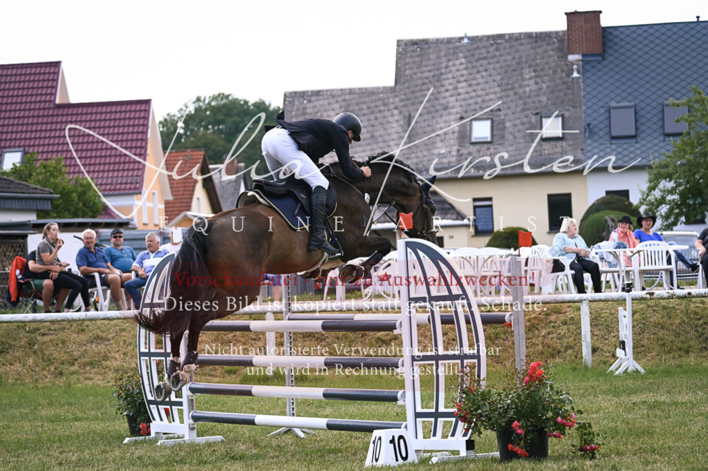 DSC_0862 | Pferde- und Turnierfotografie in Westsachsen. Pferdeportraits, Auftragszeichnungen und intuitive Kunst.