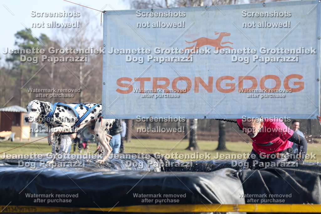 Dog Paparazzi - Strongdog North Mrz26-1465 | Dog Paparazzi Jeanette Grottendiek Fotografie & Videografie - Realisiert mit Pictrs.com