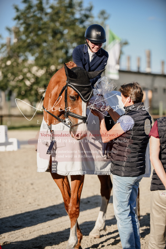 DSC_0716 | Pferde- und Turnierfotografie in Westsachsen. Pferdeportraits, Auftragszeichnungen und intuitive Kunst.