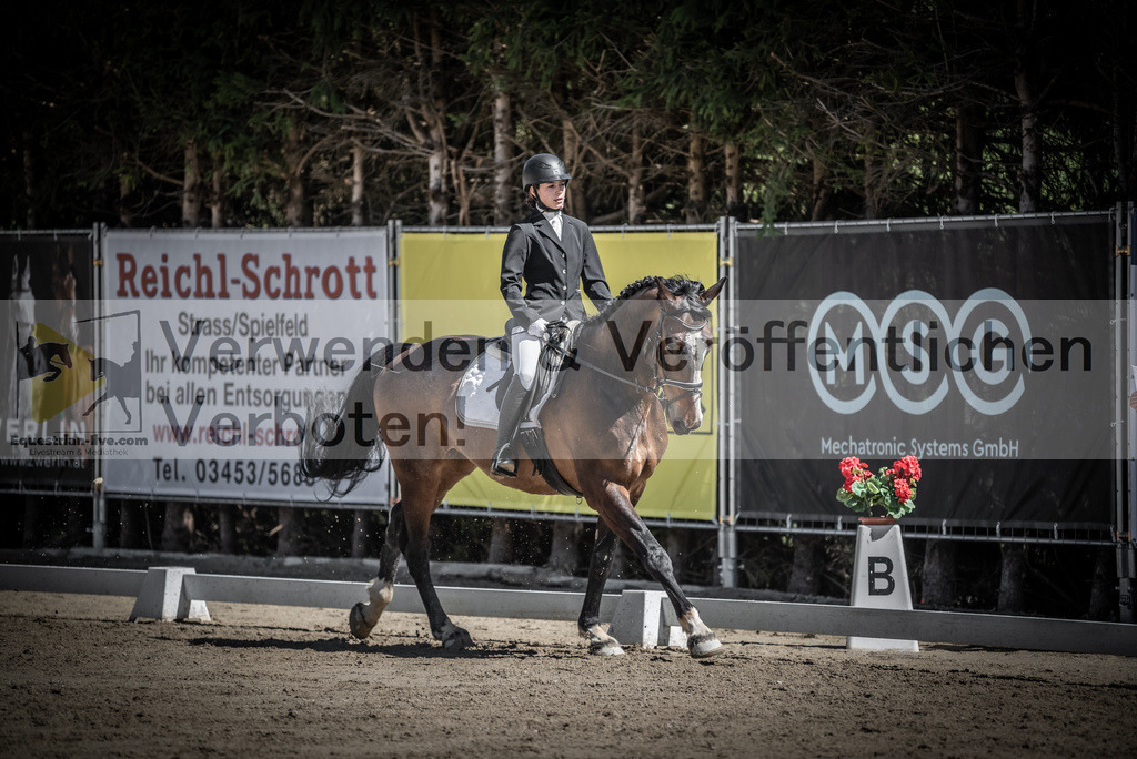 DSC_0341 | equestrian-live-com