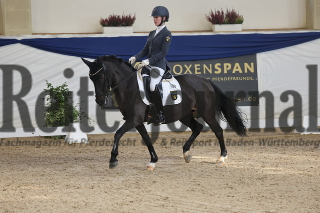 Ising_2025_Prfg.Nr.20_Pony-Dressurprfg.Kl.L_Kür_Emilia Arenz_Püppi de Luxe 2 (11) | Alle Fotos der Reiterjournal Fotografin Doris Matthaes im Reiterjournal Online-Fotoshop. - Realisiert mit Pictrs.com