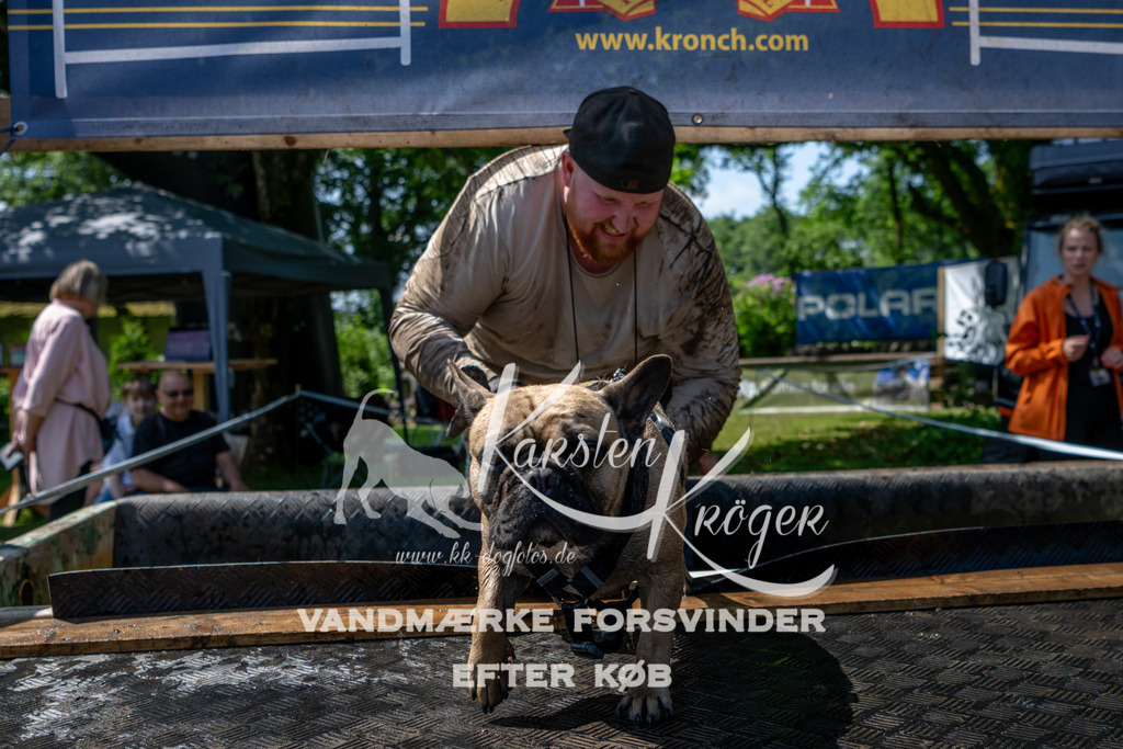 1213_ZZ90574 | kk-dogfotos