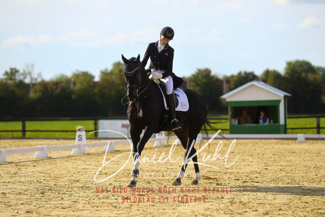 DKP45603 | Turniersportfotografie; Pferdefotografie; Dressurfotografie