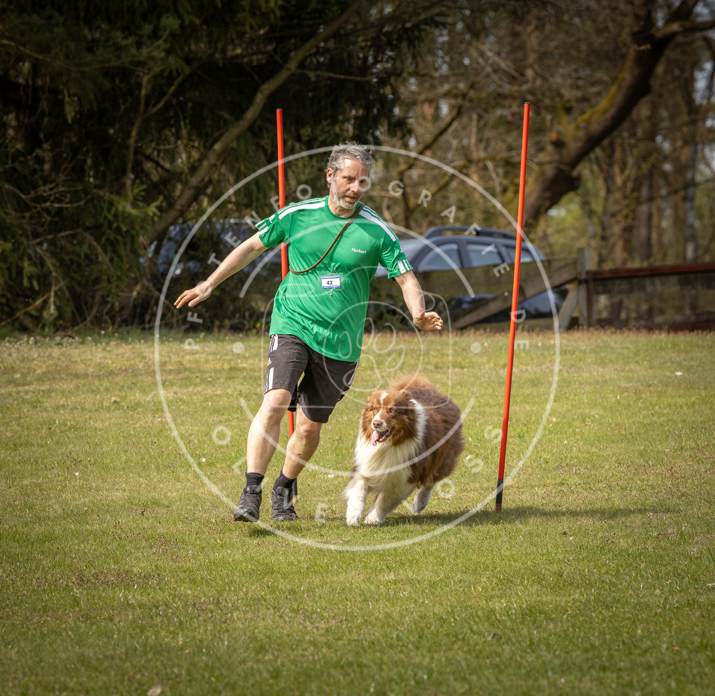 Pfotenfotografie_DV3A7703 | Hundefotografie, Tierfotograf, Pfotenfotografie, Fotoshooting Hund, Hunde Portrait, Hundesport, Hundeportraits, Heideshooting, Hunde, Sportfotograf, Hundefotograf, Turnierhundsport, THS,  - Realisiert mit Pictrs.com