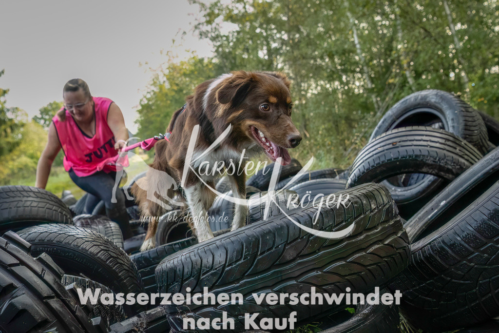 1034_ZZ94835-Bearbeitet-2 | kk-dogfotos