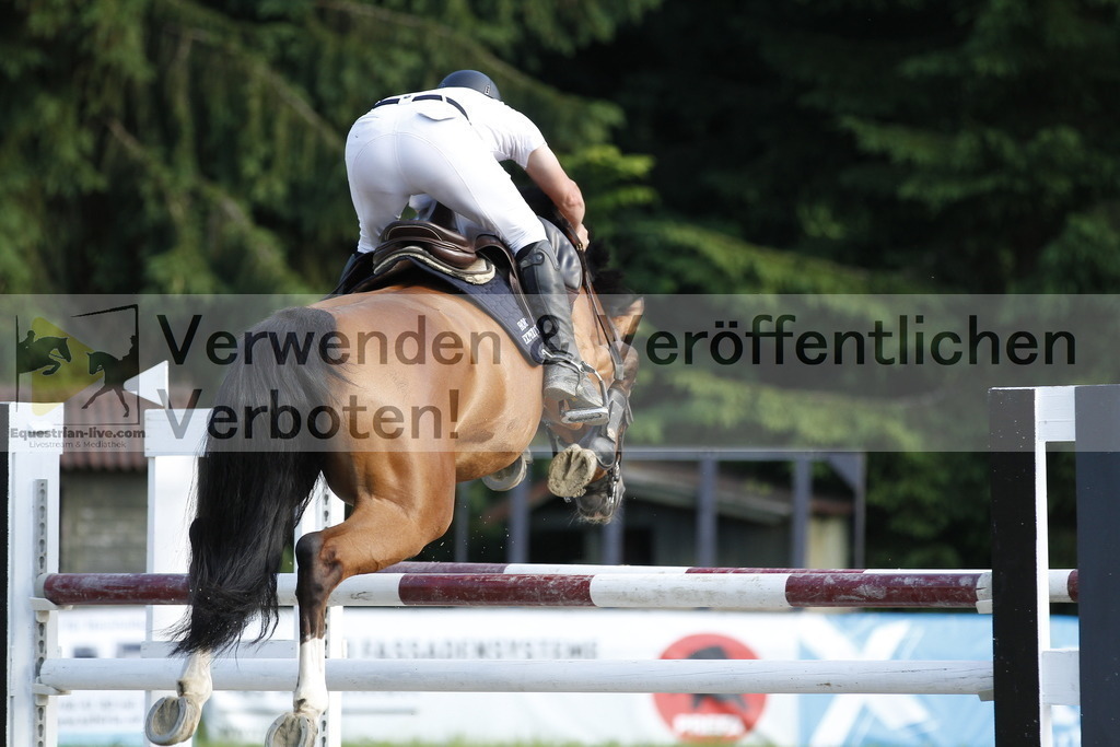 _MG_1192 | equestrian-live-com