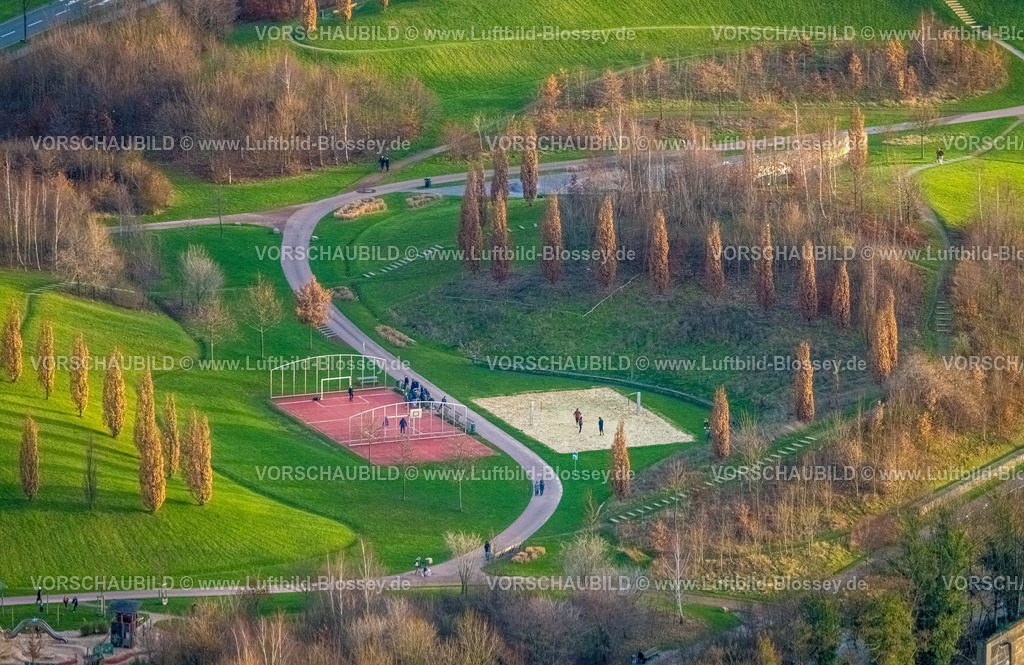 Essen230101584 | Luftbild, Krupp-Park Sportanlage, Wiesen mit Baumreihe, Westviertel, Essen, Ruhrgebiet, Nordrhein-Westfalen, Deutschland