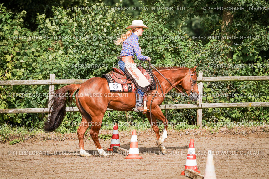 DSC09989 | Pferdegrafie