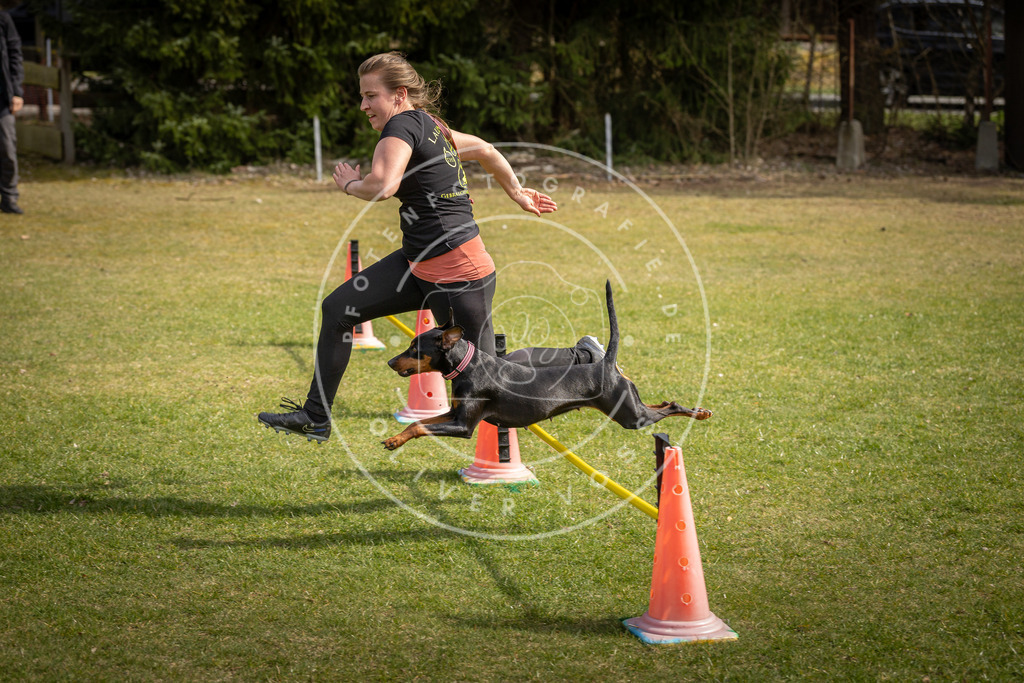 Pfotenfotografie_DV3A9443 | Hundefotografie, Tierfotograf, Pfotenfotografie, Fotoshooting Hund, Hunde Portrait, Hundesport, Hundeportraits, Heideshooting, Hunde, Sportfotograf, Hundefotograf, Turnierhundsport, THS,  - Realisiert mit Pictrs.com
