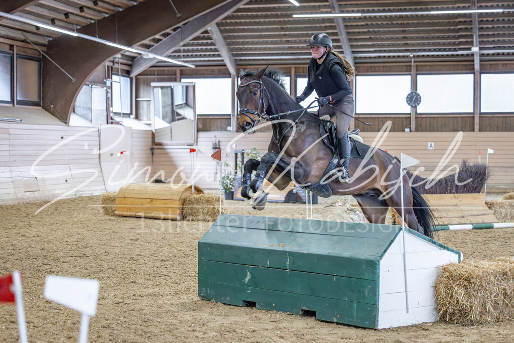 20260221-_3LI0548 | Tierfotografie Pferde, Hunde, Katzen, Haustiere.
Turnierfotografie Reitturniere, Reiten, Springreiten, Dressur in Hanau, dem Main-Kinzig-Kreis und dem Rhein-Main- Gebiet um Frankfurt