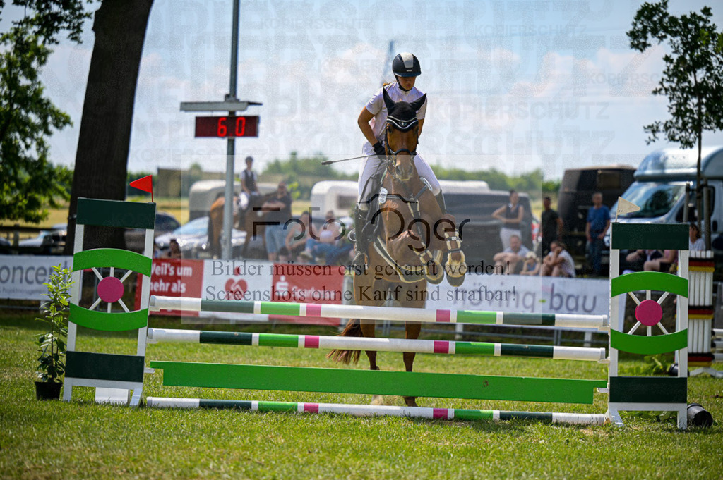 Reitturnier Voxtrup | Entdecke hochwertige Reitturnierfotos von Foto Oger. Professionell, emotional und authentisch – jetzt Lieblingsmomente im Shop bestellen.Deutschlandweite Turnierfotografie. - Realisiert mit Pictrs.com
