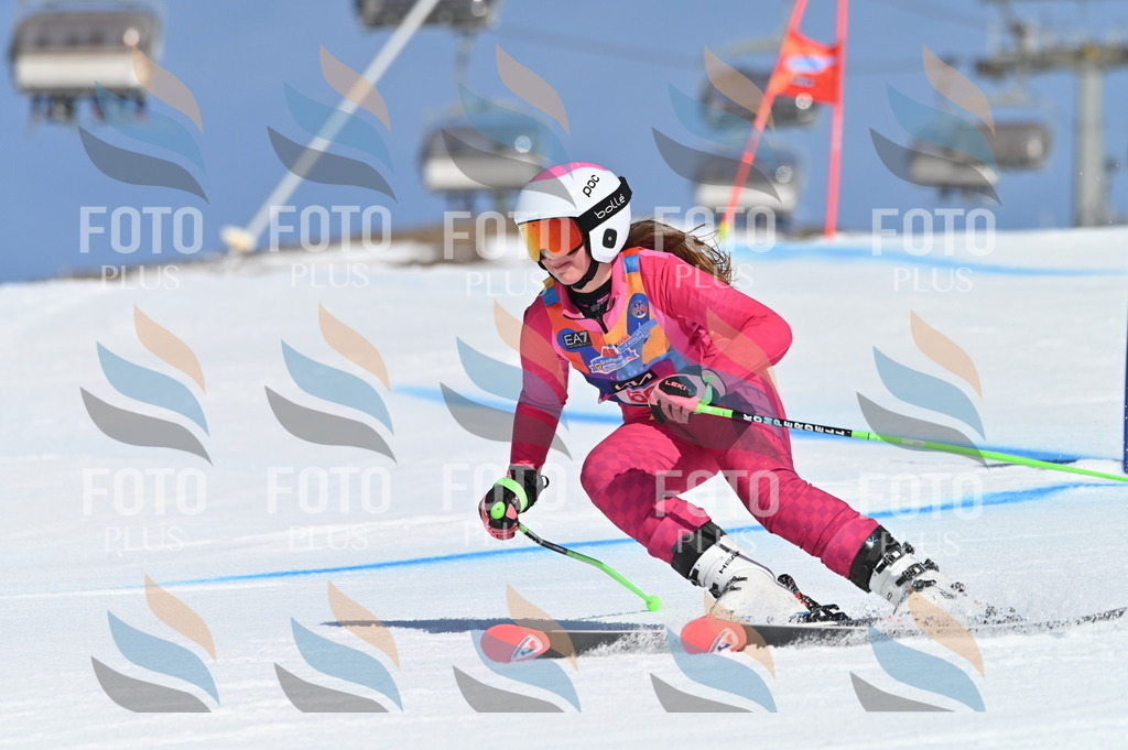 BGV_8728 | holidayphoto