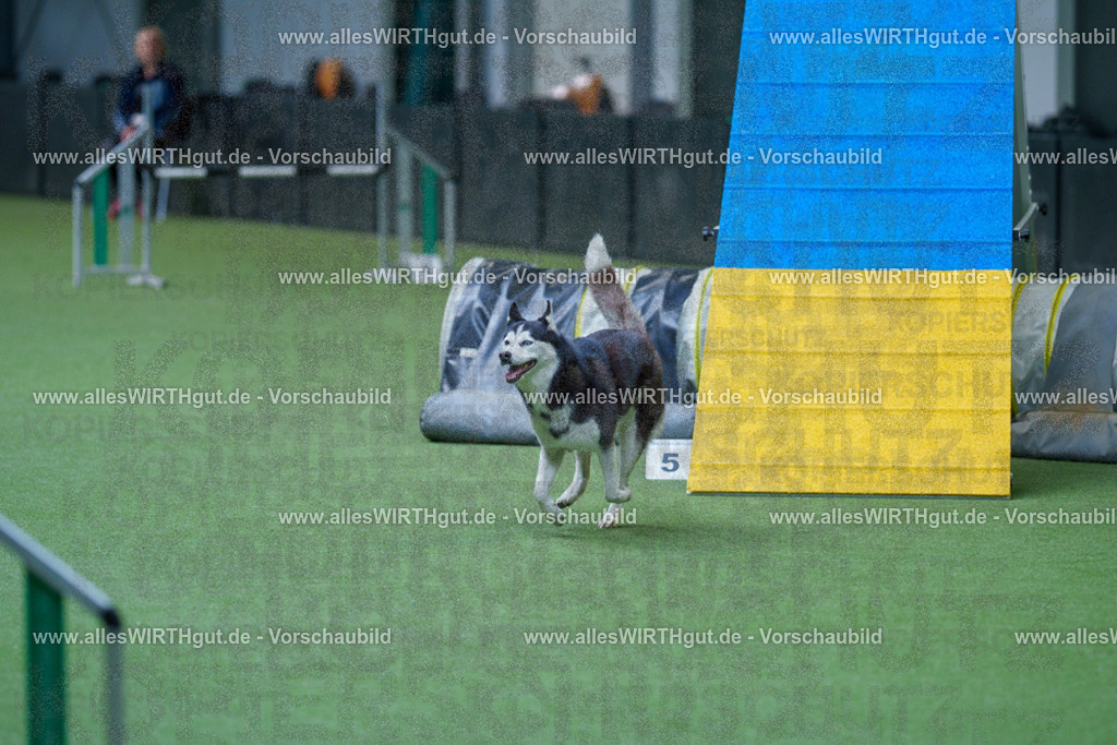 @allesWIRTHgut_Tierfotografie - www.allesWIRTHgut.de - 2604251549-7R506251 | Professionelle Tierfotografie in Mönchengladbach von Daniel Wirth (allesWIRTHgut). Liebevolle & natürliche Bilder von Hunden & Katzen für unvergessliche Erinnerungen.
