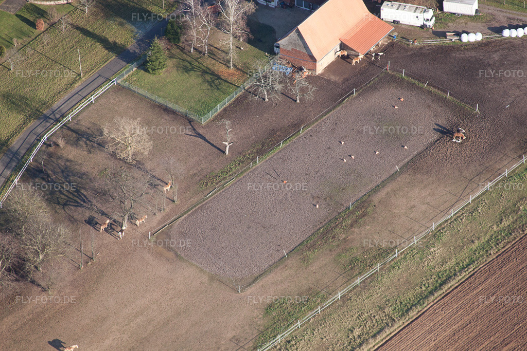 Luftbild: Ortsteil Frohnackerhof in Seebach im Bundesland Bas-Rhin in Frankreich. – Foto: IMG_48475.jpg vom 11.12.2011 durch Werner Riehm/FLY-FOTO.de – Auflösung des Originals: 4752 x 3168 px