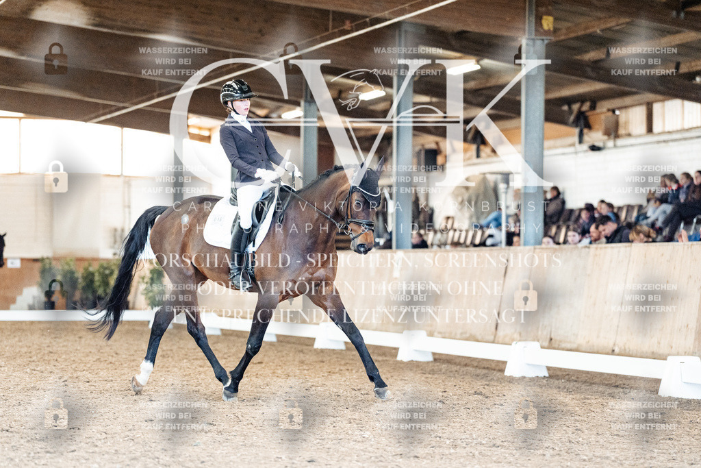 CK909272 | Turnierfotografie Pferdefotografie Trier Rheinland-Pfalz Pferdesport Reitsport Tierfotografie Sportfotografie Pferdevideo Pferdevideografie Equestrianvideography equestrianphotography  - Realized with Pictrs.com