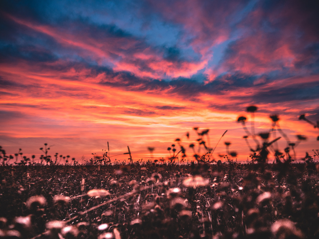 Farbexplosion | Intensiver Abendhimmel in den Feldern der Oberrheinebene - Realisiert mit Pictrs.com
