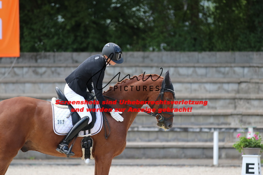 IMG_4532 | lmwpictures - Realisiert mit Pictrs.com