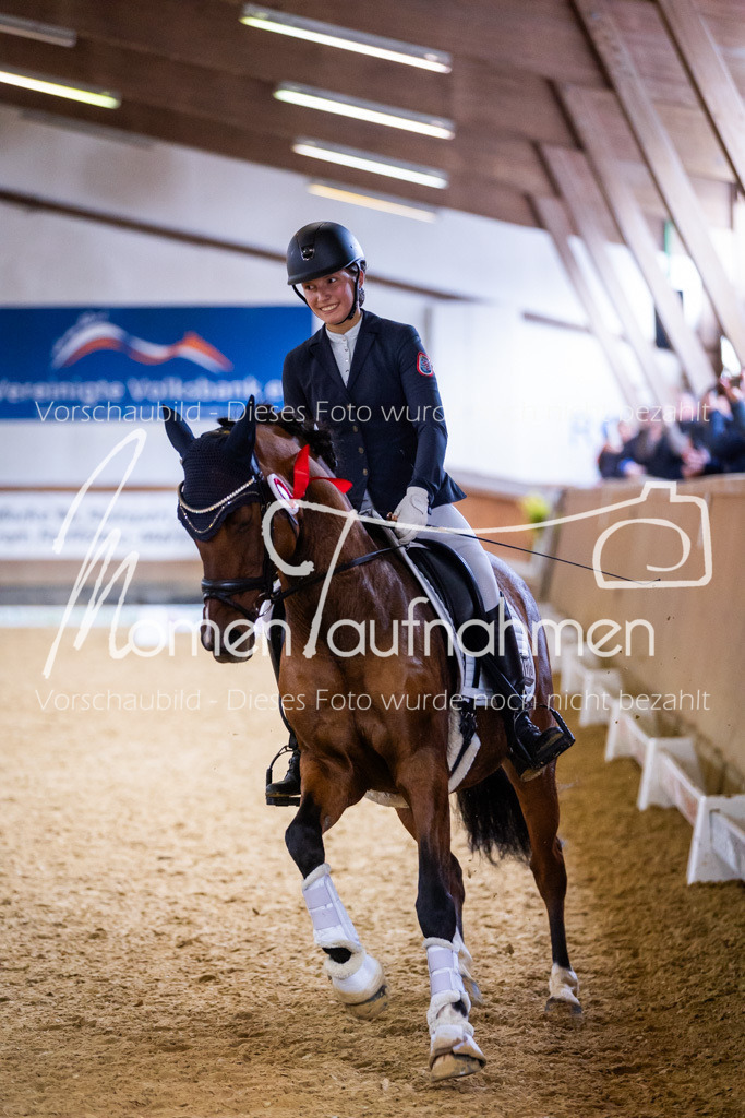 Sth-A-Dre-2St-246 | MomenTaufnahmen Pferdesportfotos