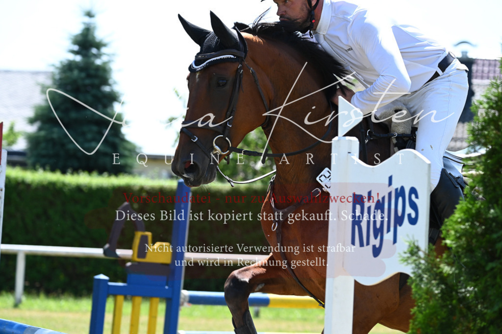 DSC_0604 | Pferde- und Turnierfotografie in Westsachsen. Pferdeportraits, Auftragszeichnungen und intuitive Kunst.