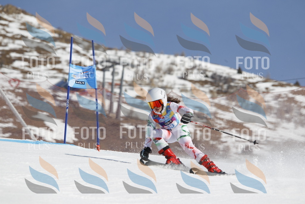 _U3G9437 | holidayphoto