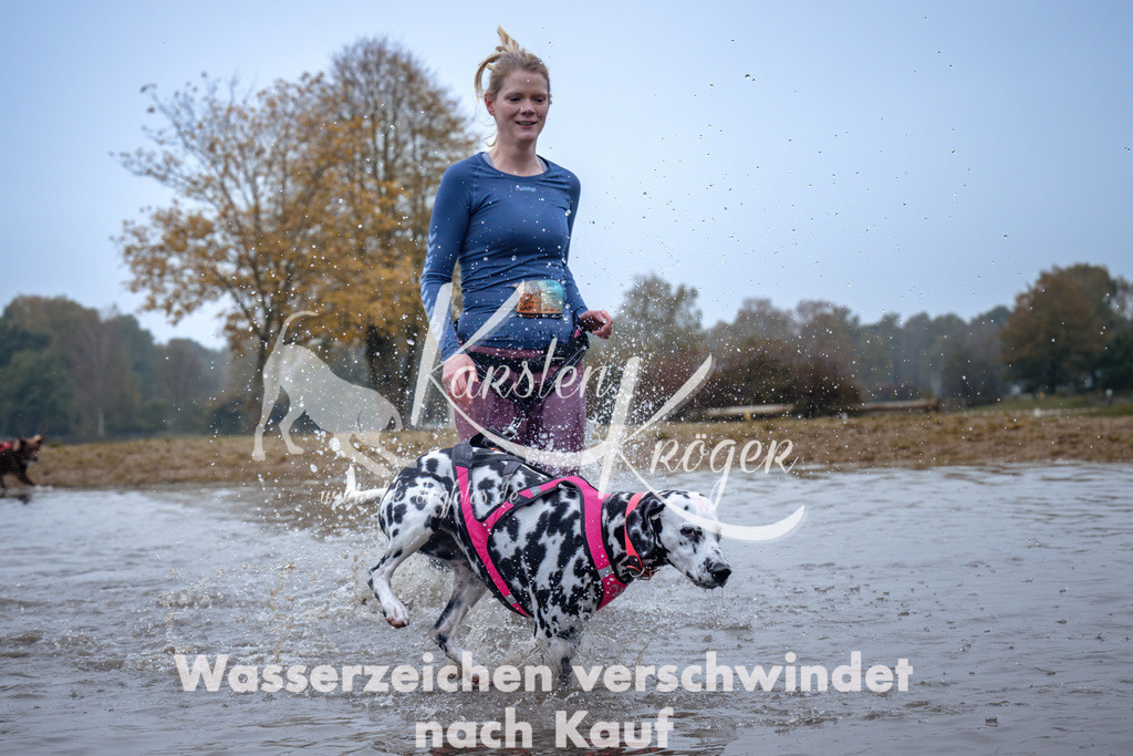 0943_ZZ96119 | kk-dogfotos