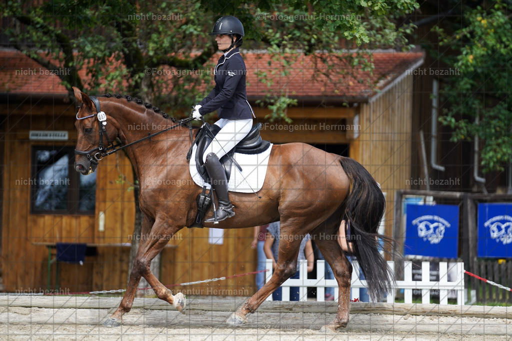 20230826-FAH05471 | Forstinning, 2023, Dressurturnier, Turniersportbilder, Turnierfotografen Bayern, Fotoagentur Herrmann, Reitsportfotografie, Turnierbilder