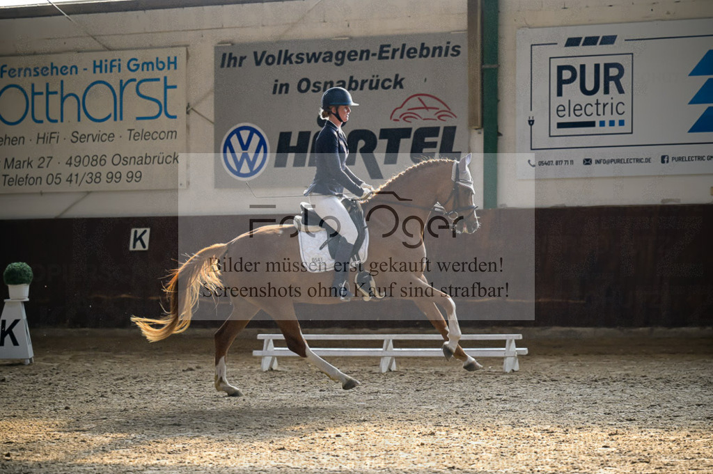 Reitturnier Voxtrup | Entdecke hochwertige Reitturnierfotos von Foto Oger. Professionell, emotional und authentisch – jetzt Lieblingsmomente im Shop bestellen.Deutschlandweite Turnierfotografie. - Realisiert mit Pictrs.com