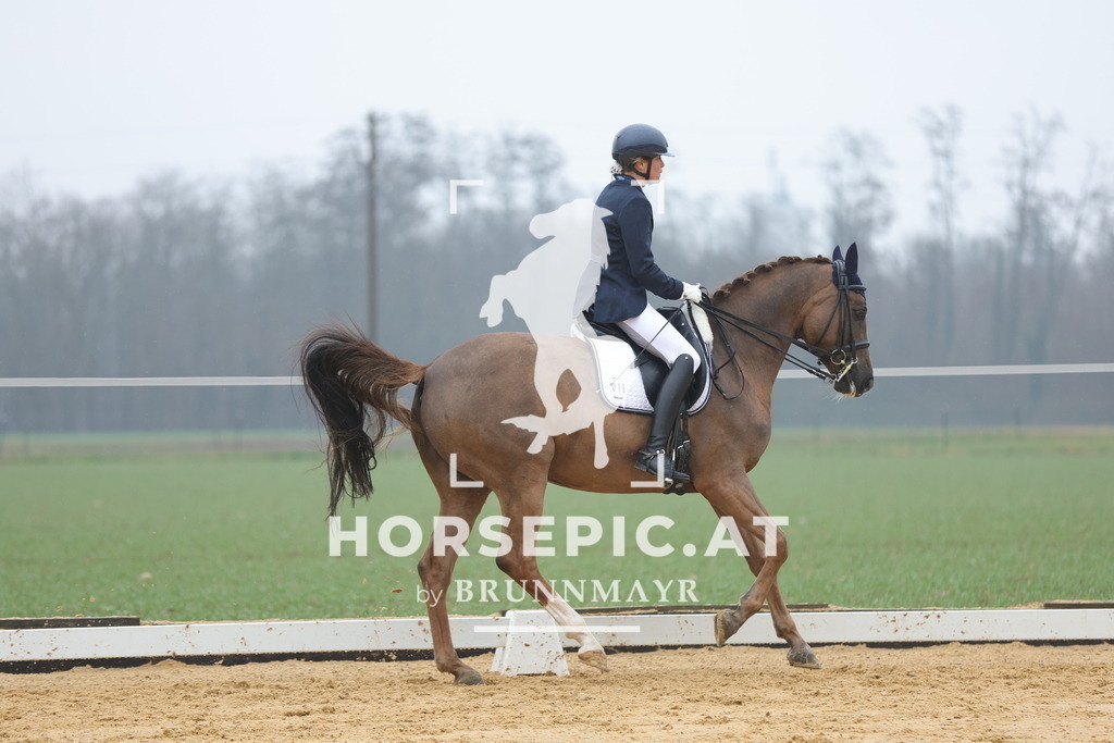 0P6A2906 | Willkommen bei Brunnmayr - Design & Fotografie – Ihrem Spezialisten für Reitturniere und Pferdeveranstaltungen in Oberösterreich, Salzburg und Bayern! Seit über 17 Jahren sind wir leidenschaftlich dabei.