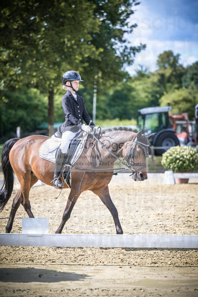 DOS_8637 | Entdecke hochwertige Reitturnierfotos von Foto Oger. Professionell, emotional und authentisch – jetzt Lieblingsmomente im Shop bestellen.Deutschlandweite Turnierfotografie. - Realisiert mit Pictrs.com