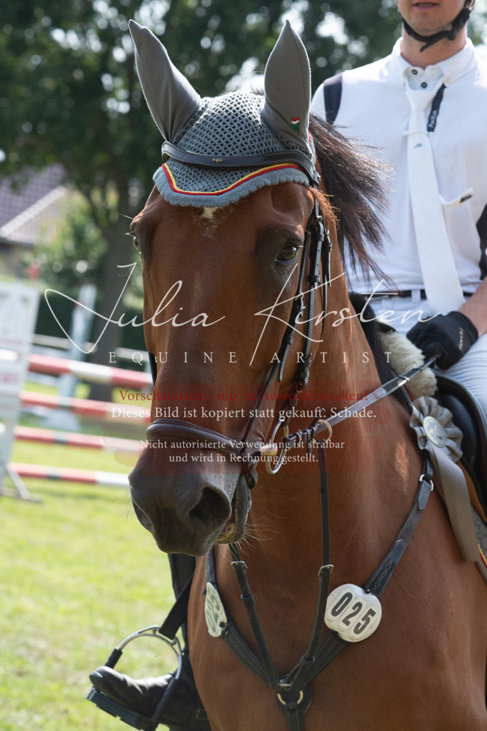 DSC_0723 | Pferde- und Turnierfotografie in Westsachsen. Pferdeportraits, Auftragszeichnungen und intuitive Kunst.