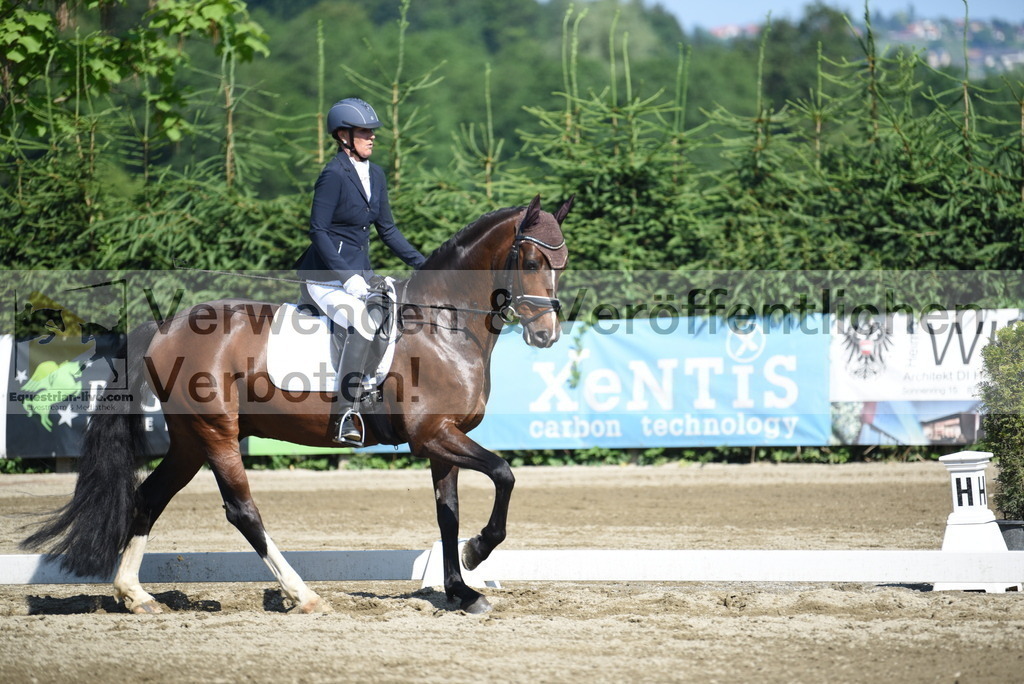 DSC_7791 | equestrian-live-com