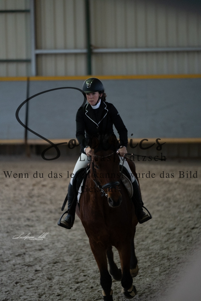 A7V00908 | Pferdefotograf