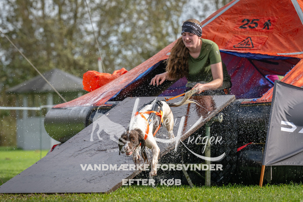1214-92972 | kk-dogfotos
