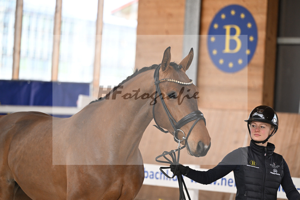 Kat-Nr. 10 Vigaronit v. Vigaro_Feichtner_14260834 | hf-fotografie - Realisiert mit Pictrs.com
