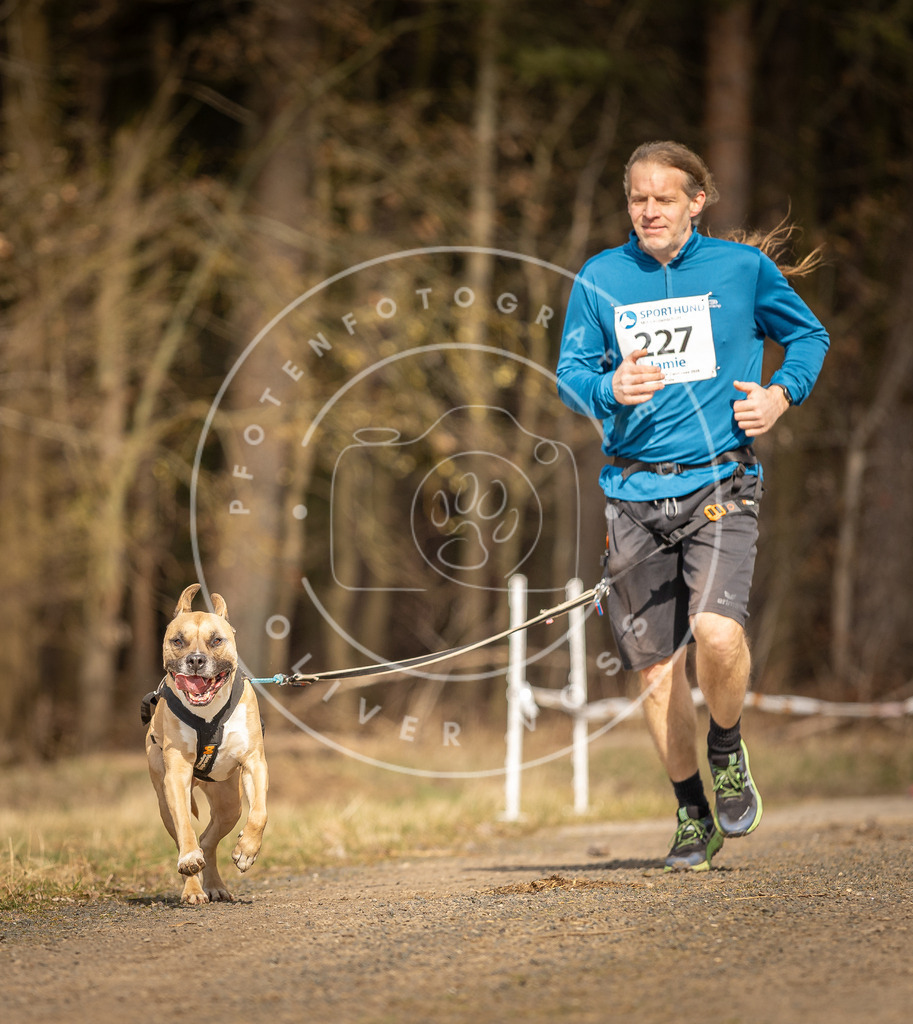 DV3A5315 | Hundefotografie, Tierfotograf, Pfotenfotografie, Fotoshooting Hund, Hunde Portrait, Hundesport, Hundeportraits, Heideshooting, Hunde, Sportfotograf, Hundefotograf, Turnierhundsport, THS,  - Realisiert mit Pictrs.com
