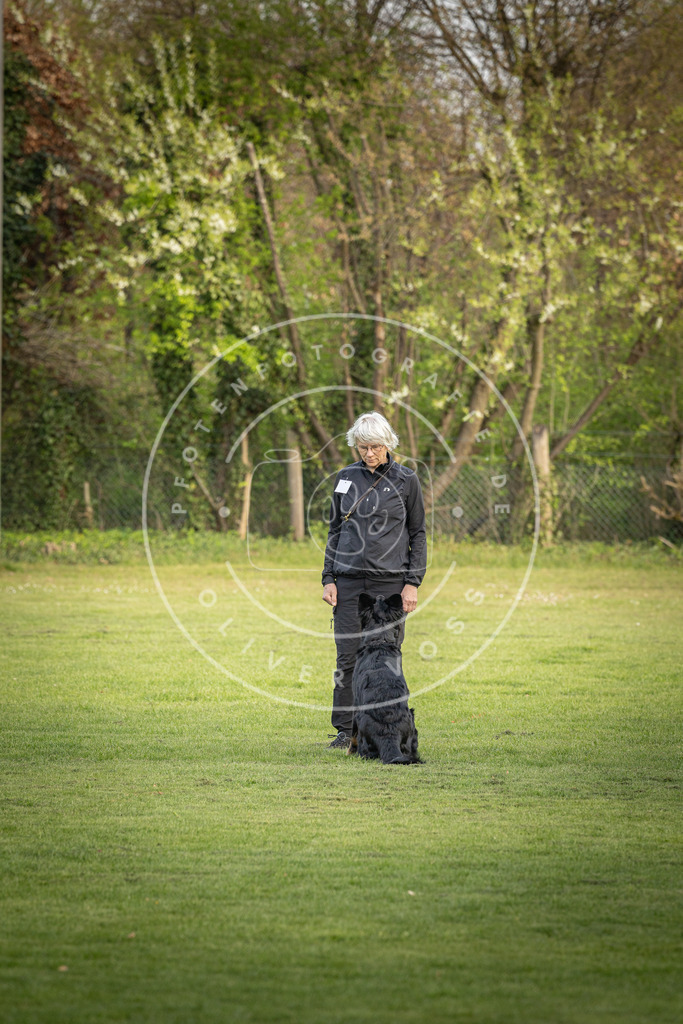 Pfotenfotografie_DV3A4866 | Hundefotografie, Tierfotograf, Pfotenfotografie, Fotoshooting Hund, Hunde Portrait, Hundesport, Hundeportraits, Heideshooting, Hunde, Sportfotograf, Hundefotograf, Turnierhundsport, THS,  - Realisiert mit Pictrs.com